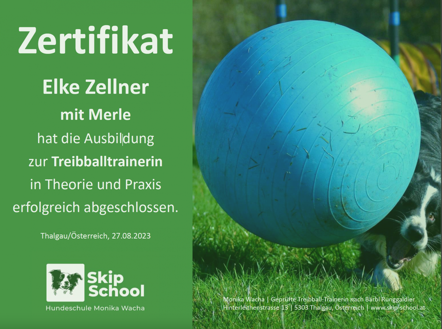 Zertifikat Treibballtranerin Elke Zellner